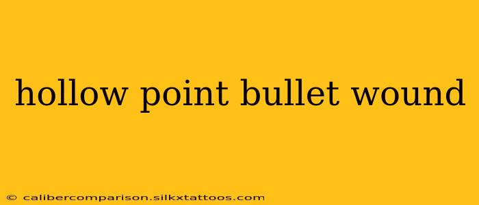 hollow point bullet wound