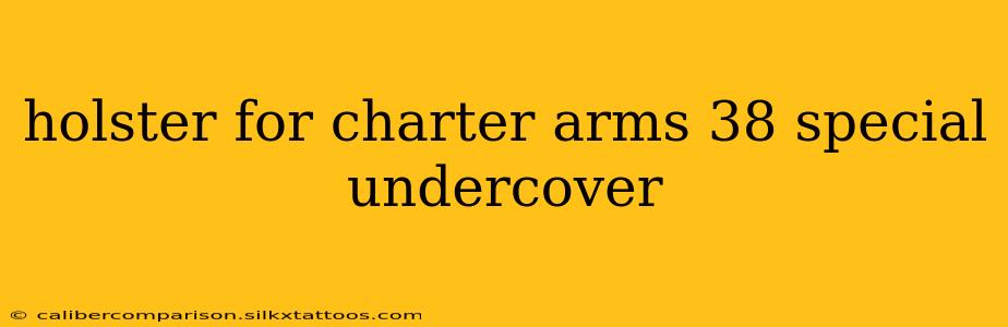 holster for charter arms 38 special undercover