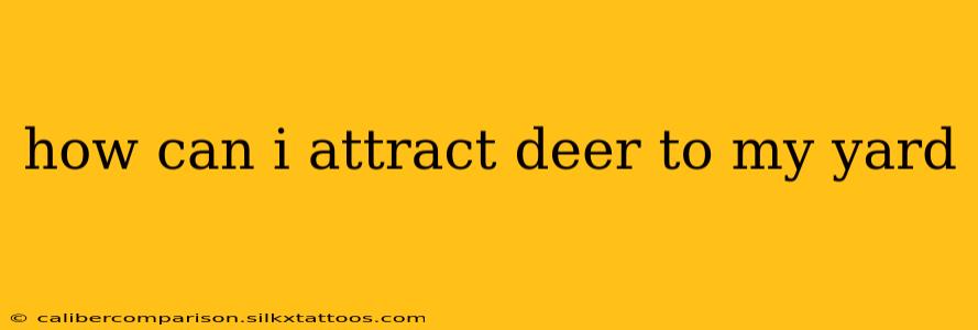 how can i attract deer to my yard