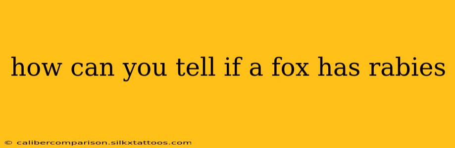 how can you tell if a fox has rabies