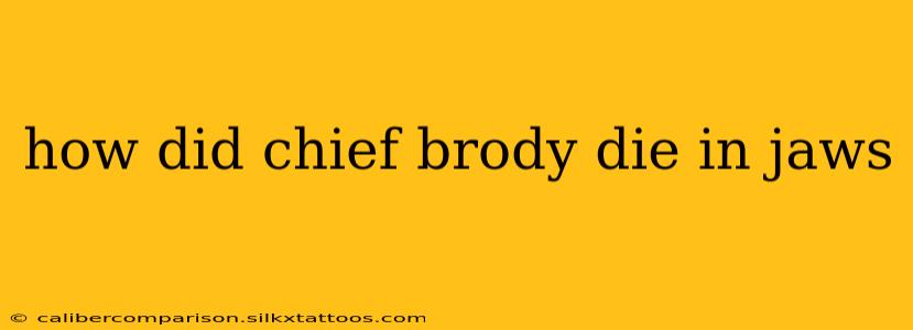 how did chief brody die in jaws