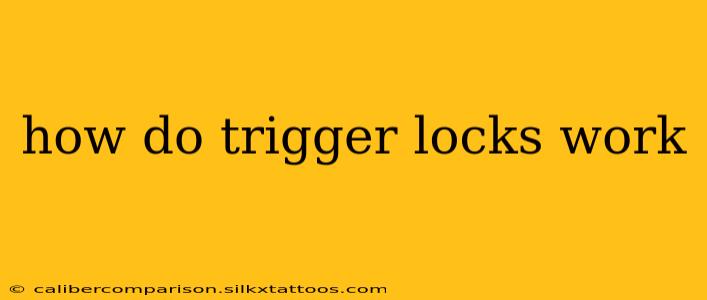 how do trigger locks work