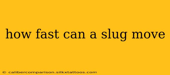 how fast can a slug move