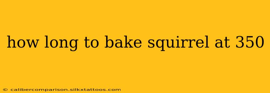 how long to bake squirrel at 350