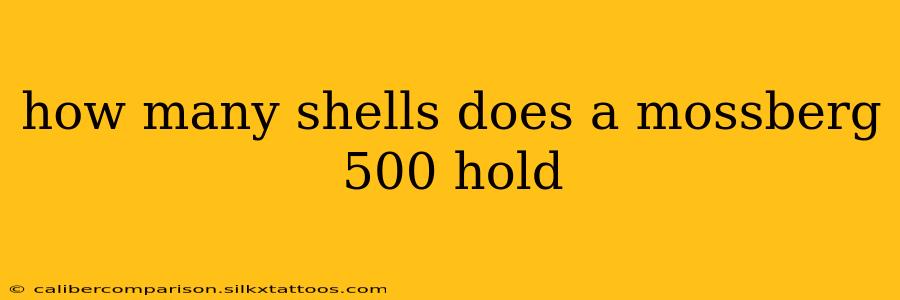 how many shells does a mossberg 500 hold