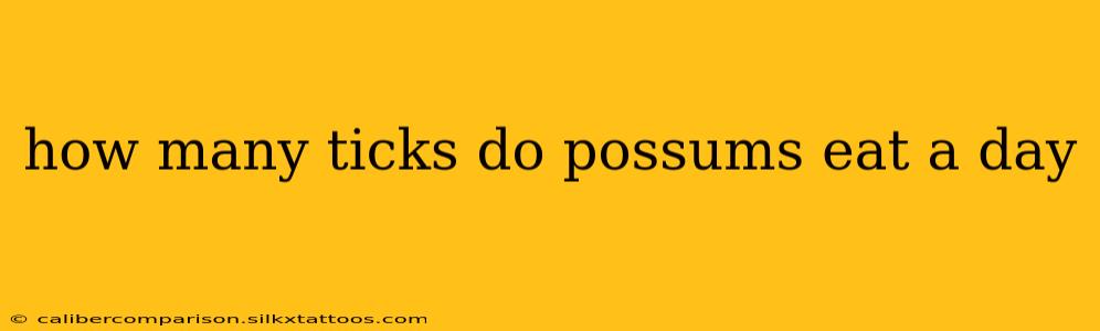 how many ticks do possums eat a day