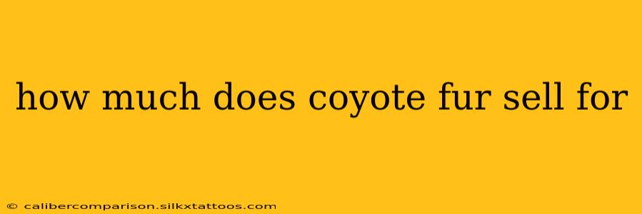 how much does coyote fur sell for