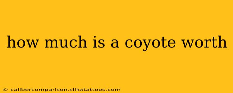 how much is a coyote worth