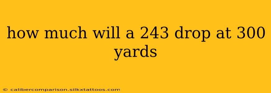 how much will a 243 drop at 300 yards