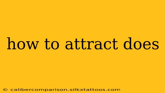 how to attract does