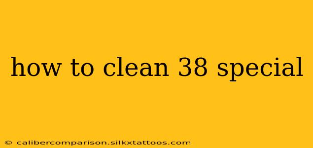 how to clean 38 special