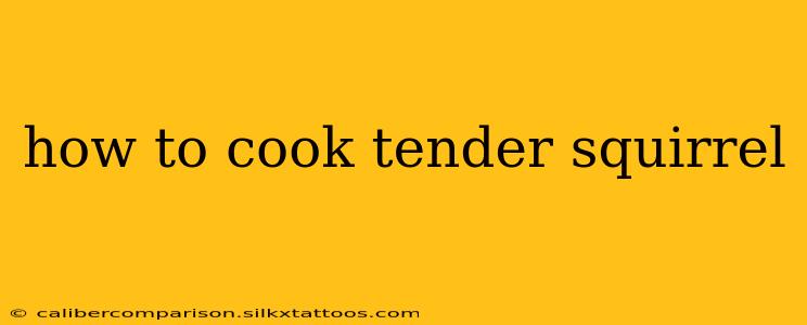 how to cook tender squirrel