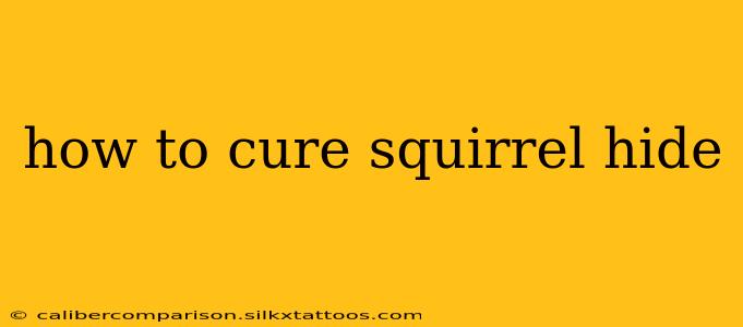 how to cure squirrel hide