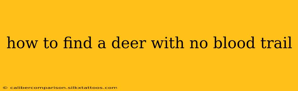 how to find a deer with no blood trail