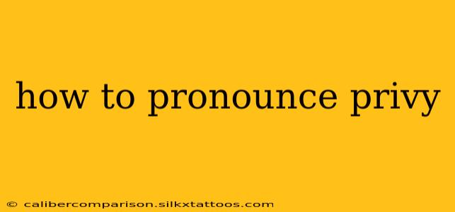 how to pronounce privy