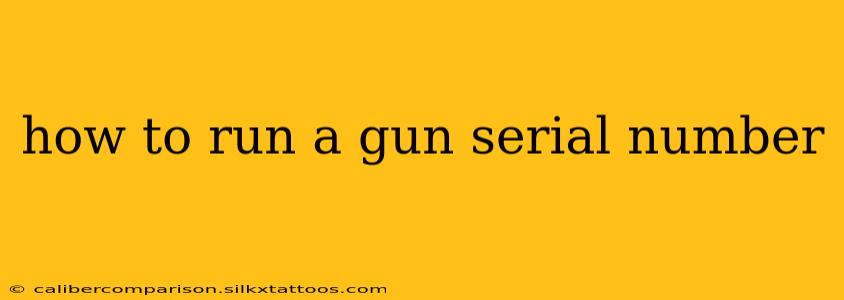 how to run a gun serial number