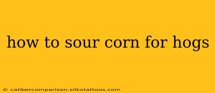 how to sour corn for hogs