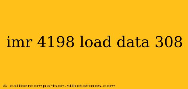 imr 4198 load data 308