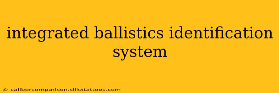 integrated ballistics identification system