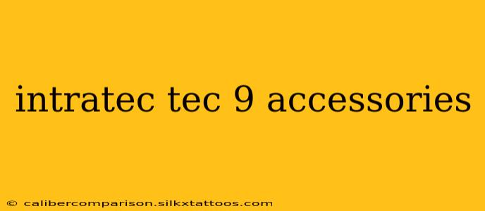 intratec tec 9 accessories