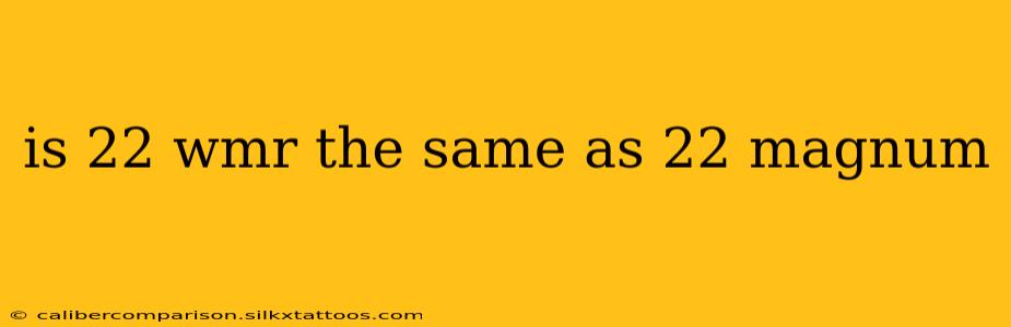 is 22 wmr the same as 22 magnum