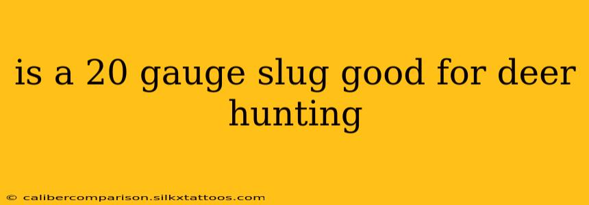 is a 20 gauge slug good for deer hunting