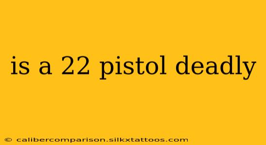 is a 22 pistol deadly