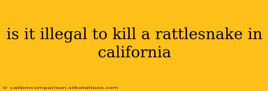 is it illegal to kill a rattlesnake in california