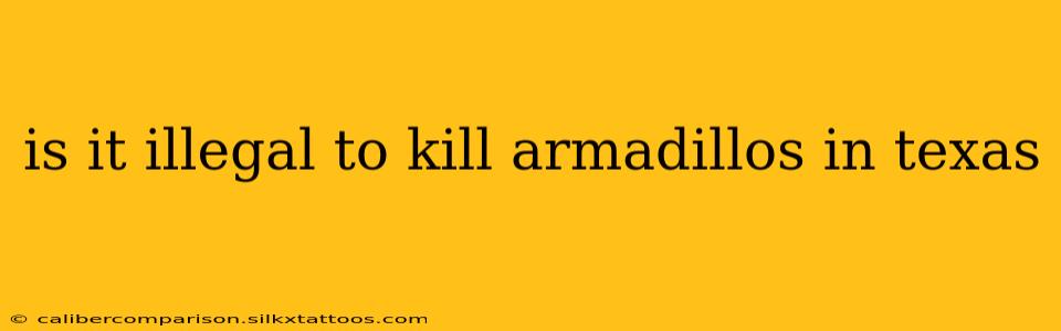 is it illegal to kill armadillos in texas