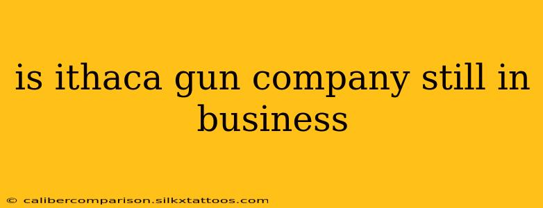 is ithaca gun company still in business