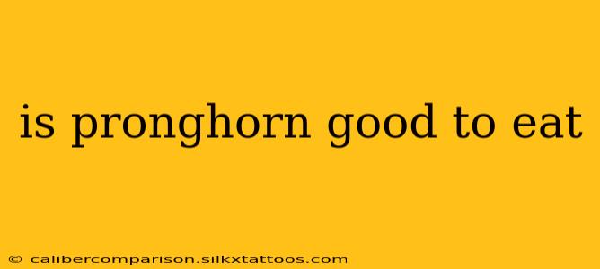 is pronghorn good to eat