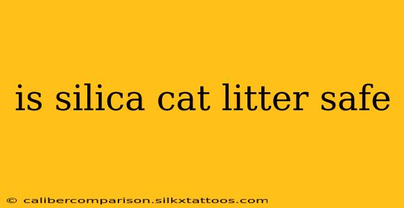 is silica cat litter safe