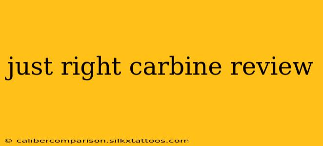 just right carbine review