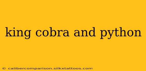 king cobra and python