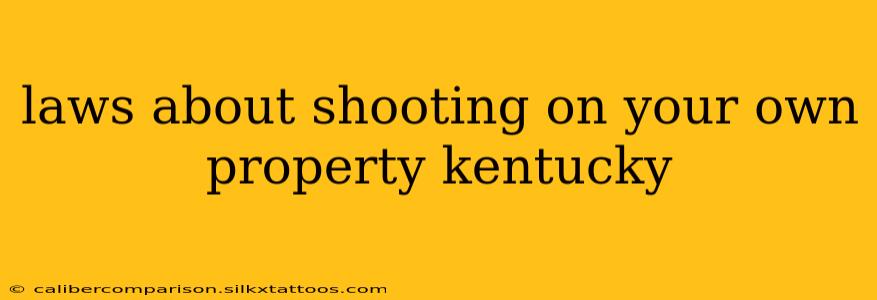 laws about shooting on your own property kentucky