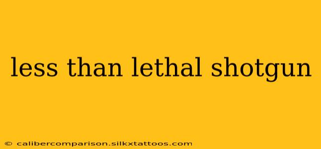 less than lethal shotgun