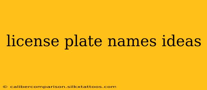 license plate names ideas