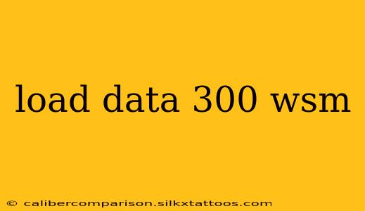 load data 300 wsm