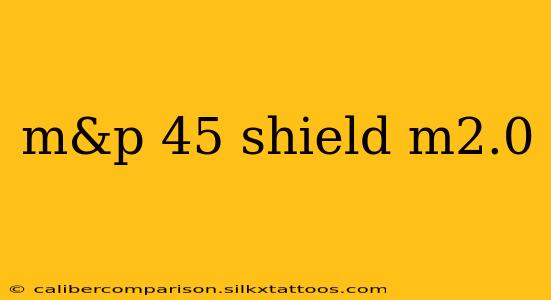 m&p 45 shield m2.0