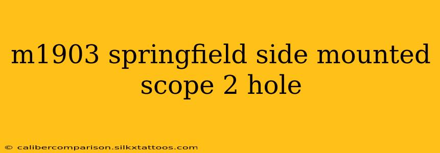 m1903 springfield side mounted scope 2 hole