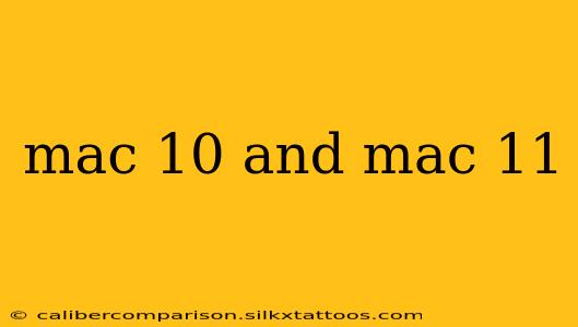 mac 10 and mac 11