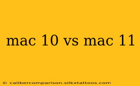 mac 10 vs mac 11