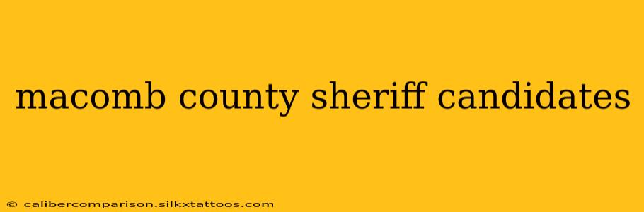 macomb county sheriff candidates