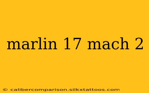 marlin 17 mach 2