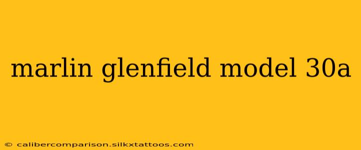 marlin glenfield model 30a