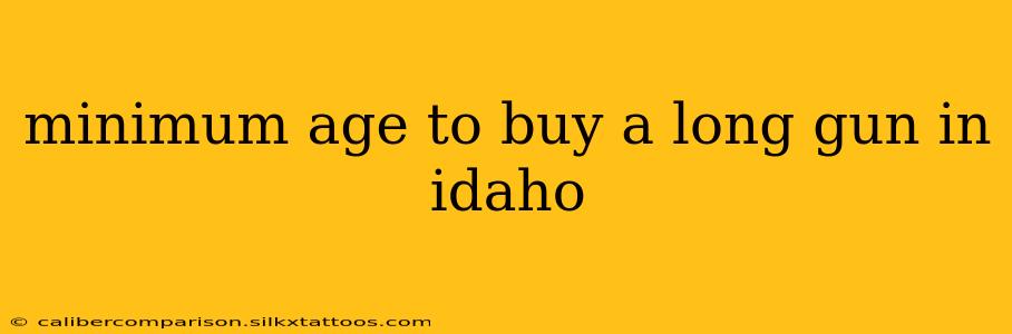 minimum age to buy a long gun in idaho