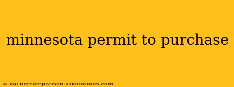 minnesota permit to purchase