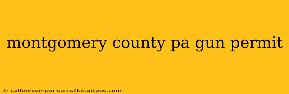 montgomery county pa gun permit