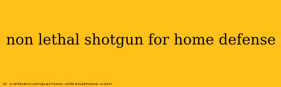 non lethal shotgun for home defense