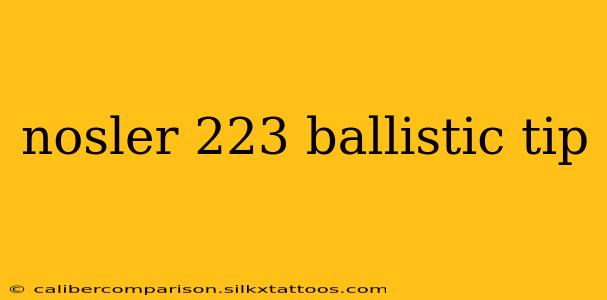 nosler 223 ballistic tip